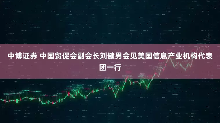 中博证券 中国贸促会副会长刘健男会见美国信息产业机构代表团一行